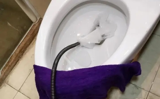 白鹭湖管理区马桶疏通